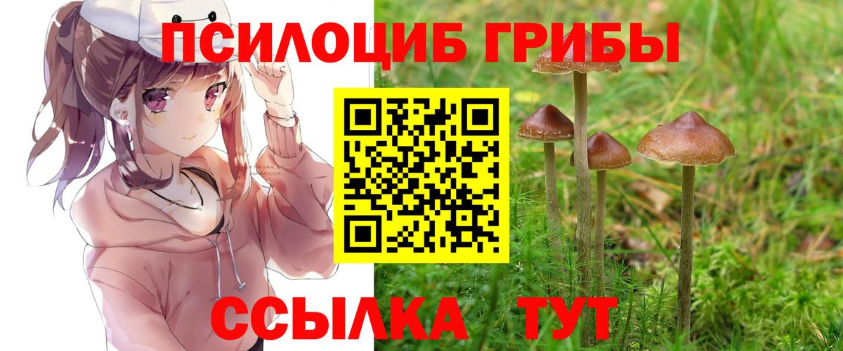 Галлюциногенные грибы прущие грибы  Вход с VPN  Узловая 